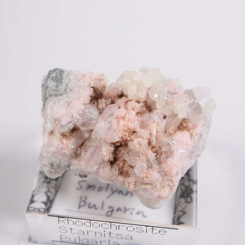 �֥륬�ꥢ�� �����ɥ���������