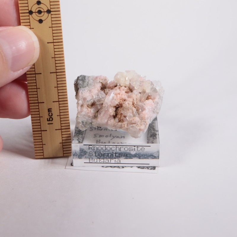 �֥륬�ꥢ�� �����ɥ���������