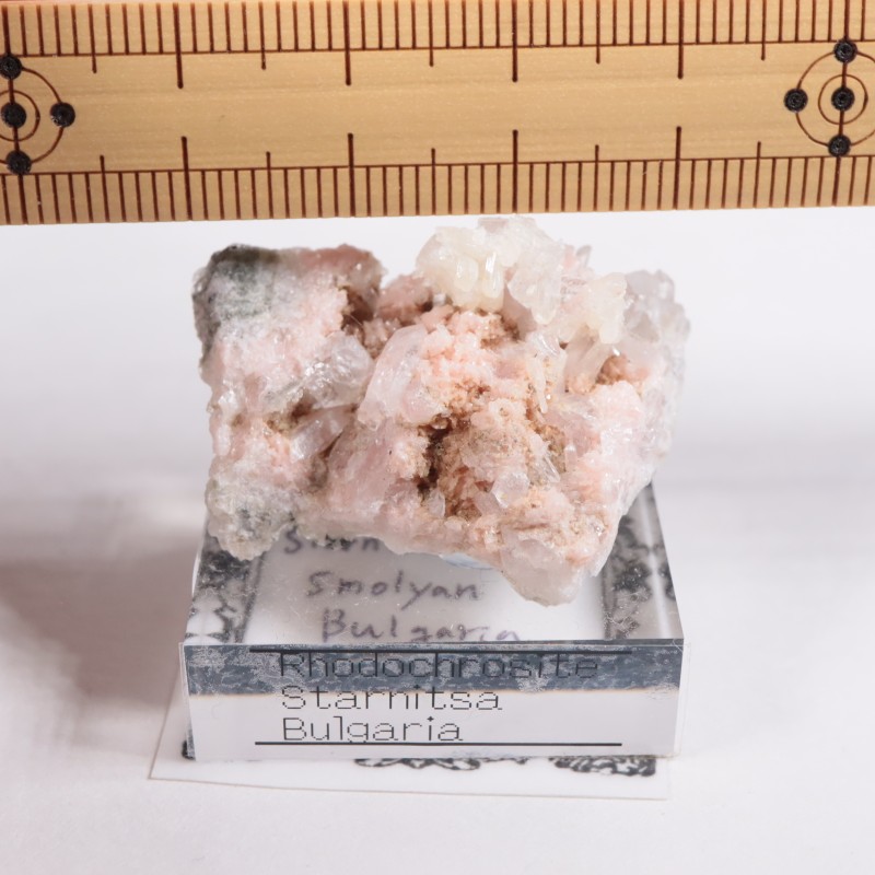 �֥륬�ꥢ�� �����ɥ���������