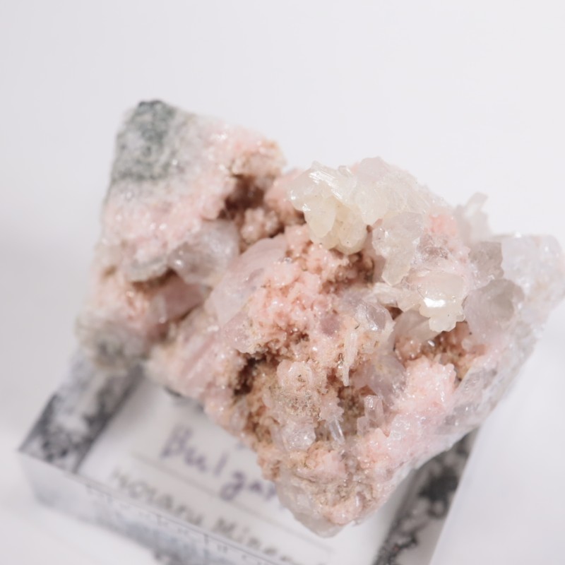 �֥륬�ꥢ�� �����ɥ���������