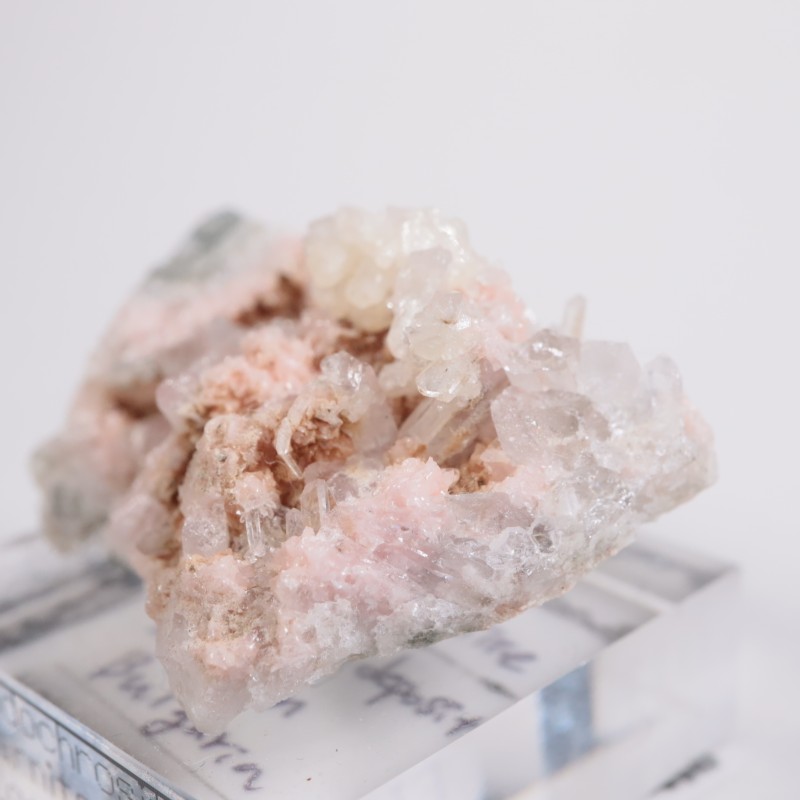 �֥륬�ꥢ�� �����ɥ���������