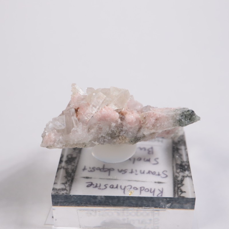 �֥륬�ꥢ�� �����ɥ���������