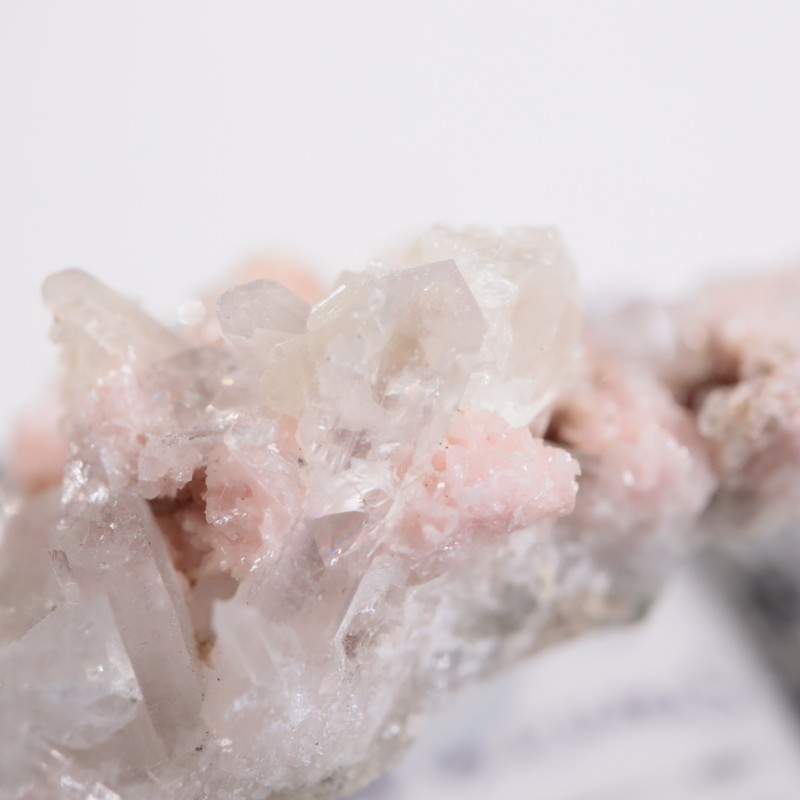 �֥륬�ꥢ�� �����ɥ���������