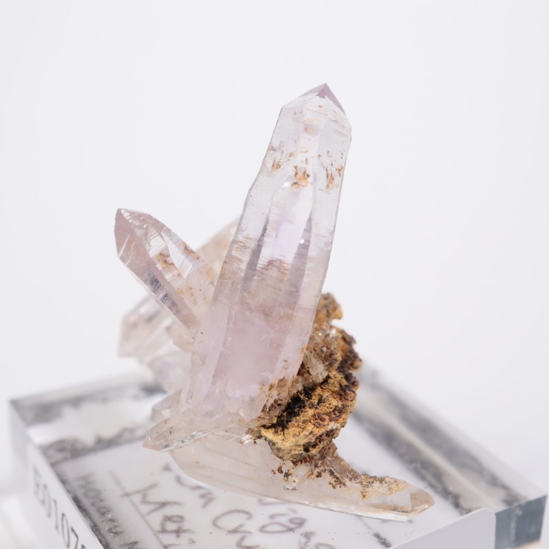 �٥饯�륹�������᥷����