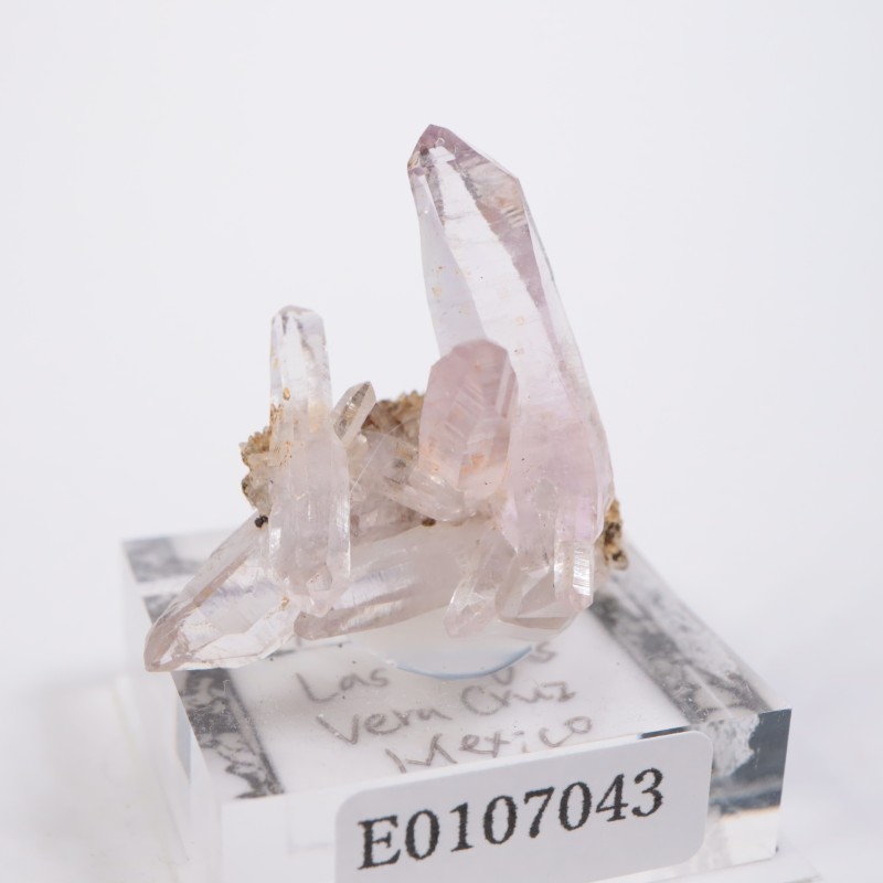 �٥饯�륹�������᥷����