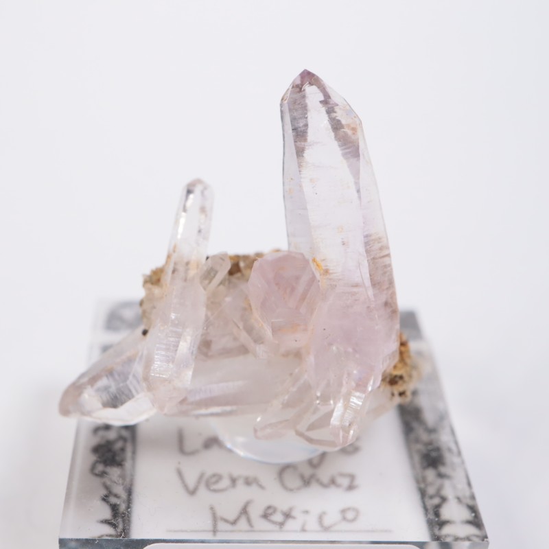 �٥饯�륹�������᥷����