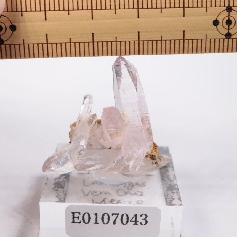 �٥饯�륹�������᥷����