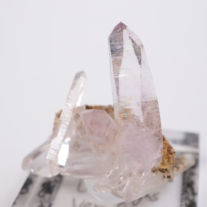 �٥饯�륹�������᥷����