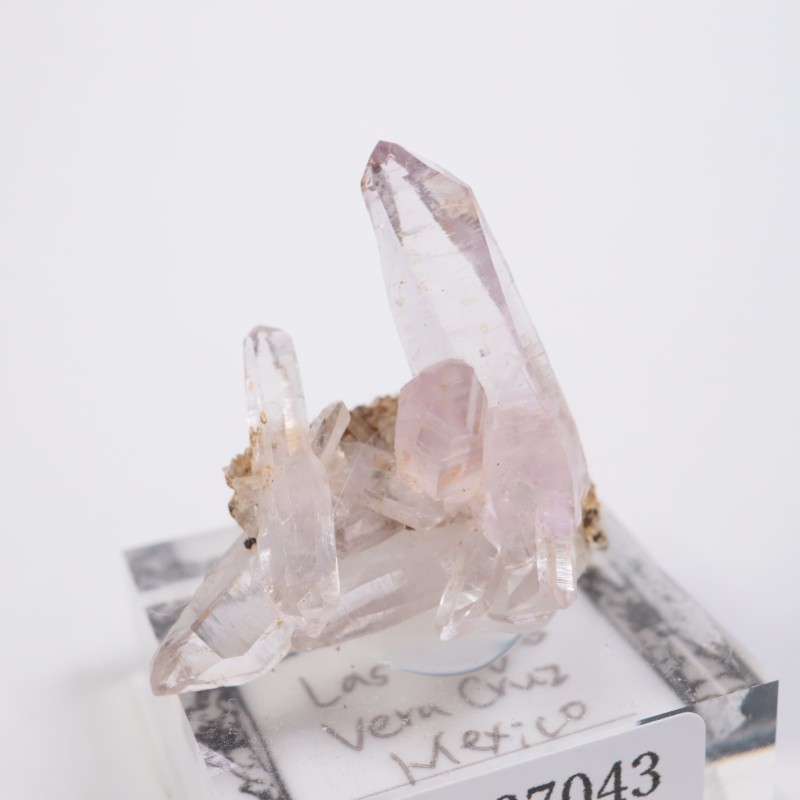 �٥饯�륹�������᥷����