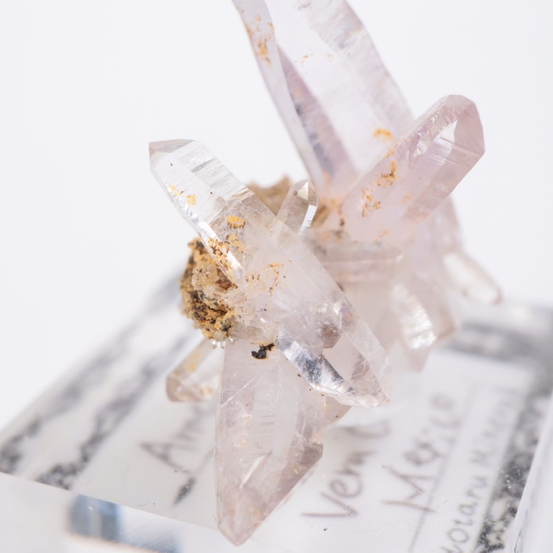 �٥饯�륹�������᥷����