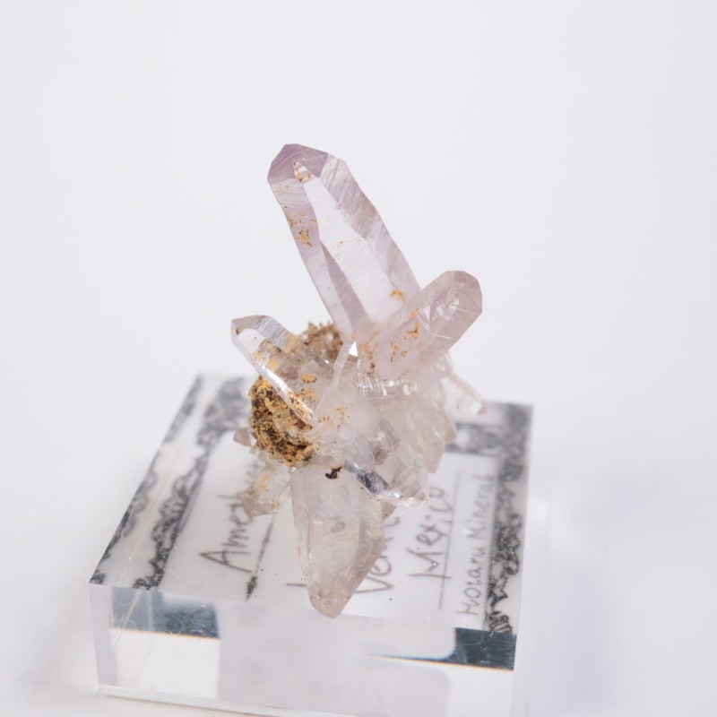 �٥饯�륹�������᥷����