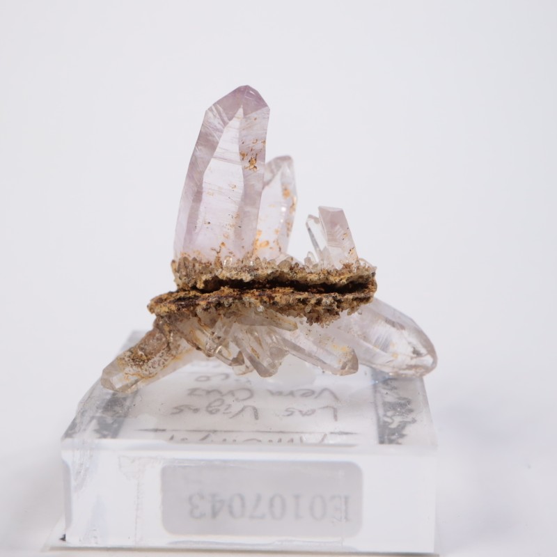 �٥饯�륹�������᥷����