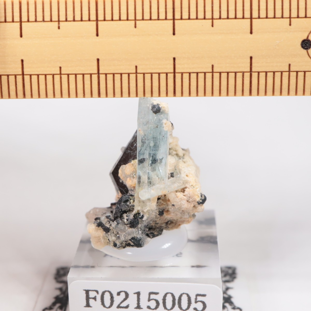 ナミビア、エロンゴ鉱山産 アクアマリン | 鉱物標本,ハ行,ベリル/緑