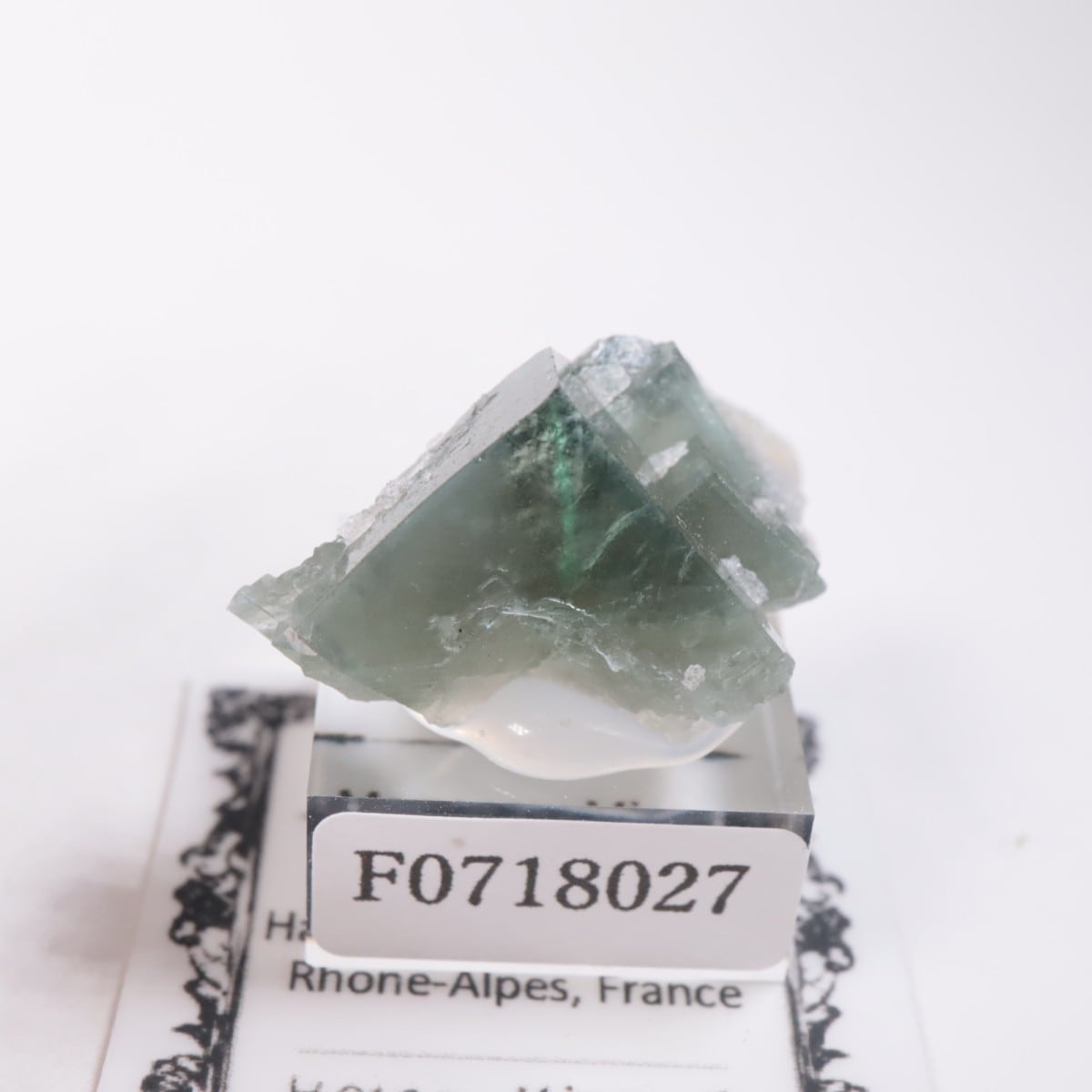 �ե�󥹻����ե����饤��