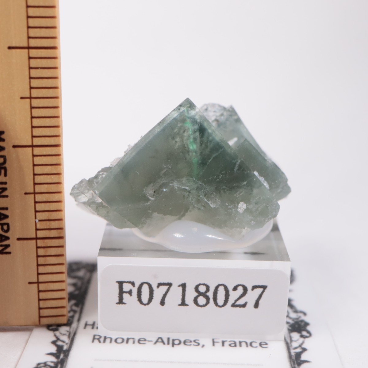 �ե�󥹻����ե����饤��