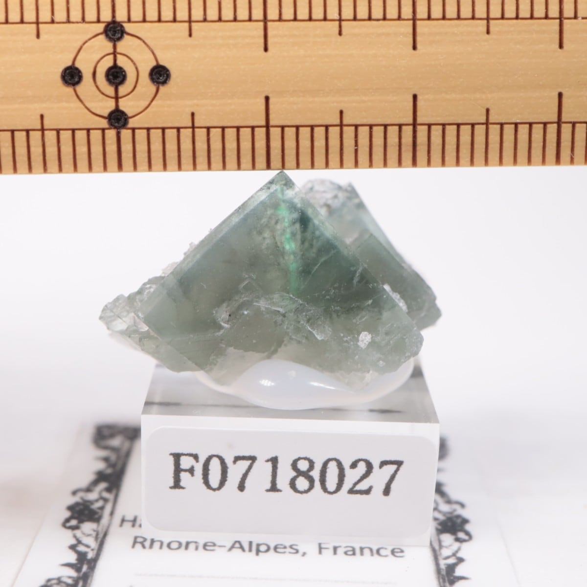 �ե�󥹻����ե����饤��