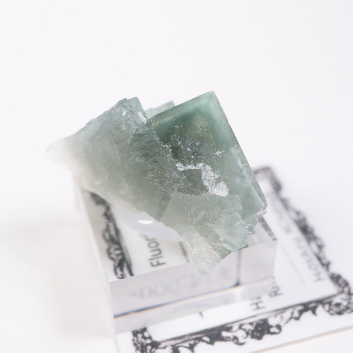 �ե�󥹻����ե����饤��