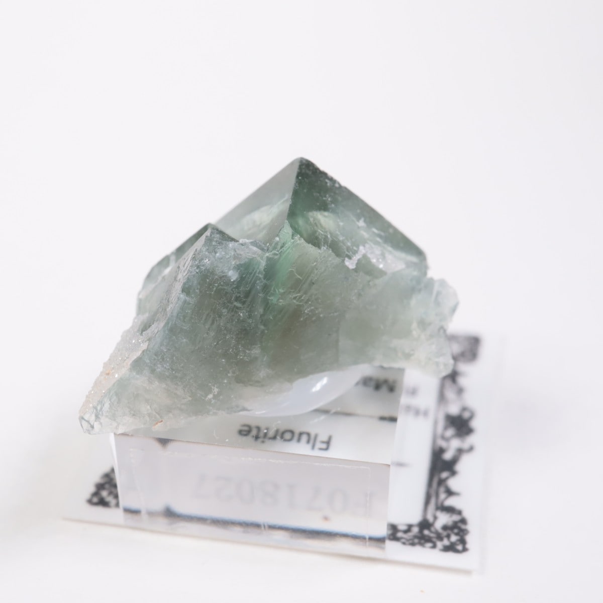 �ե�󥹻����ե����饤��