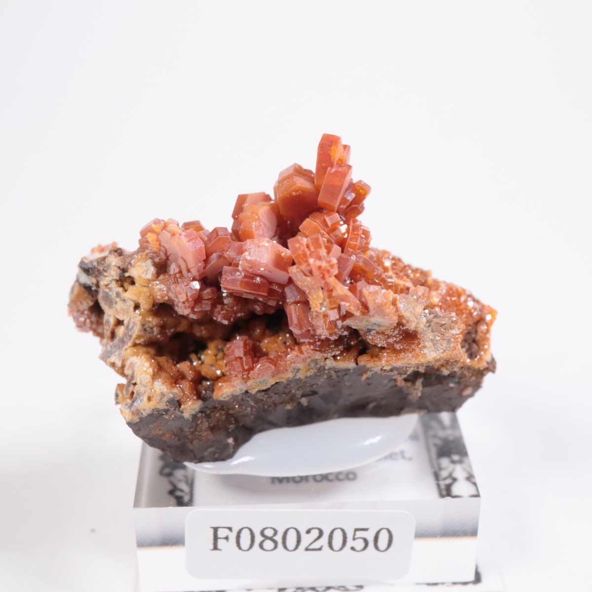 ����å��� �Хʥǥ��ʥ���