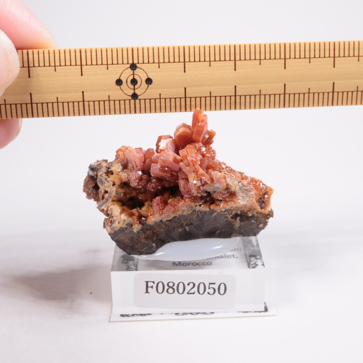 ����å��� �Хʥǥ��ʥ���