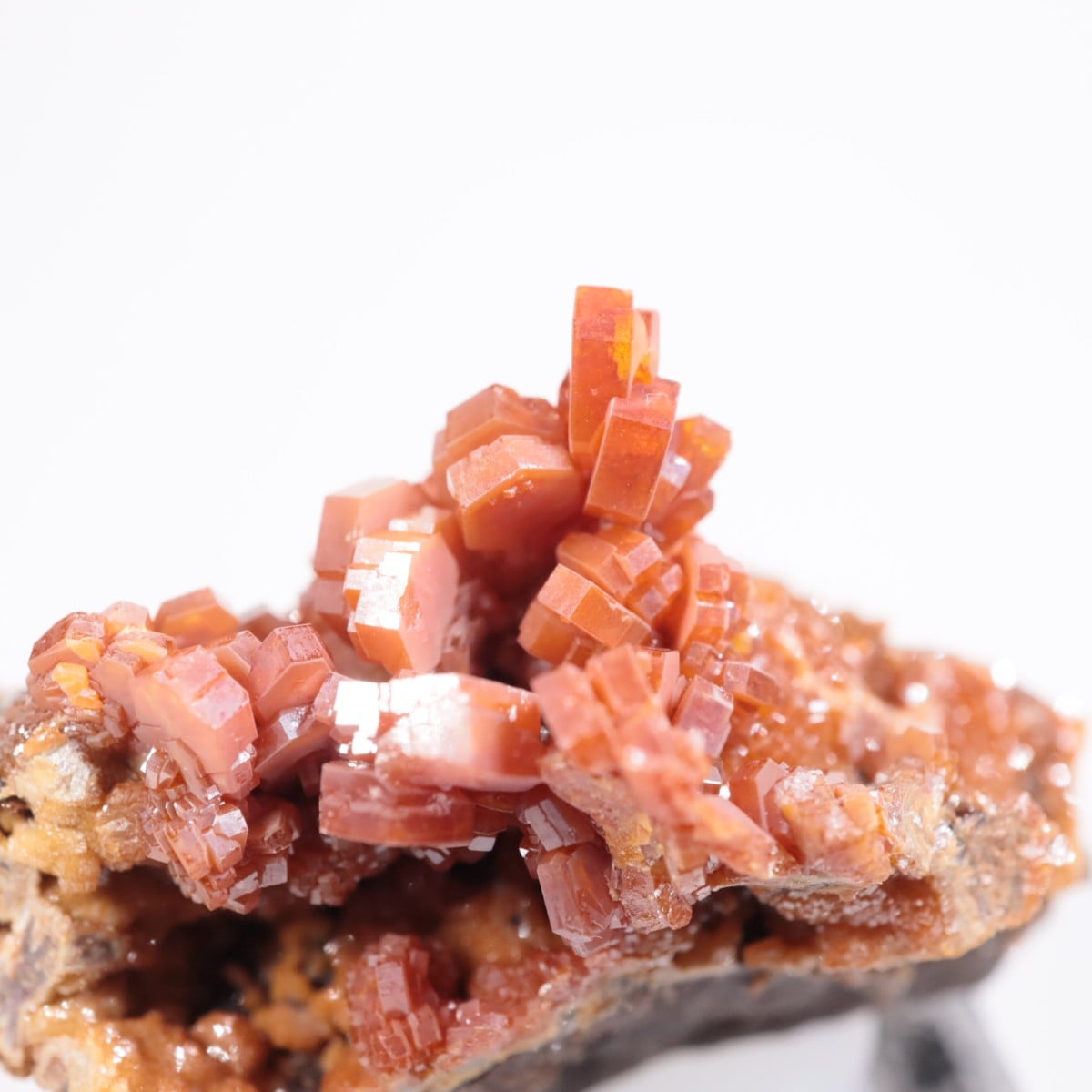 ����å��� �Хʥǥ��ʥ���