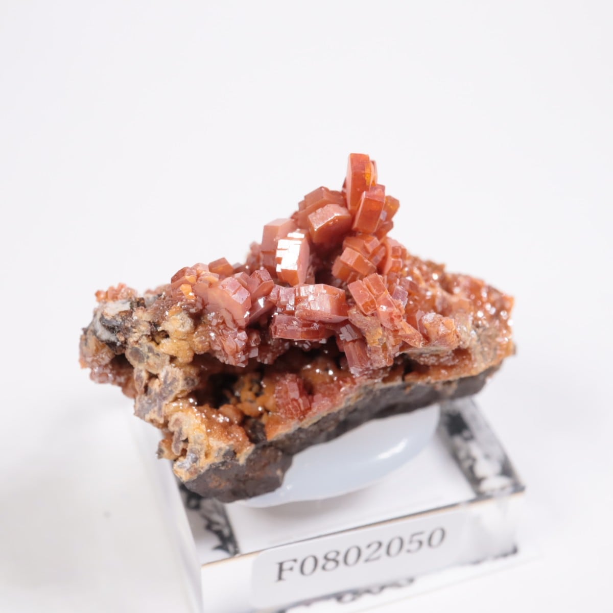 ����å��� �Хʥǥ��ʥ���