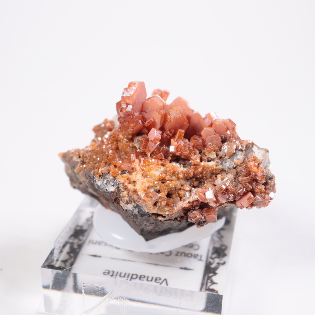 ����å��� �Хʥǥ��ʥ���