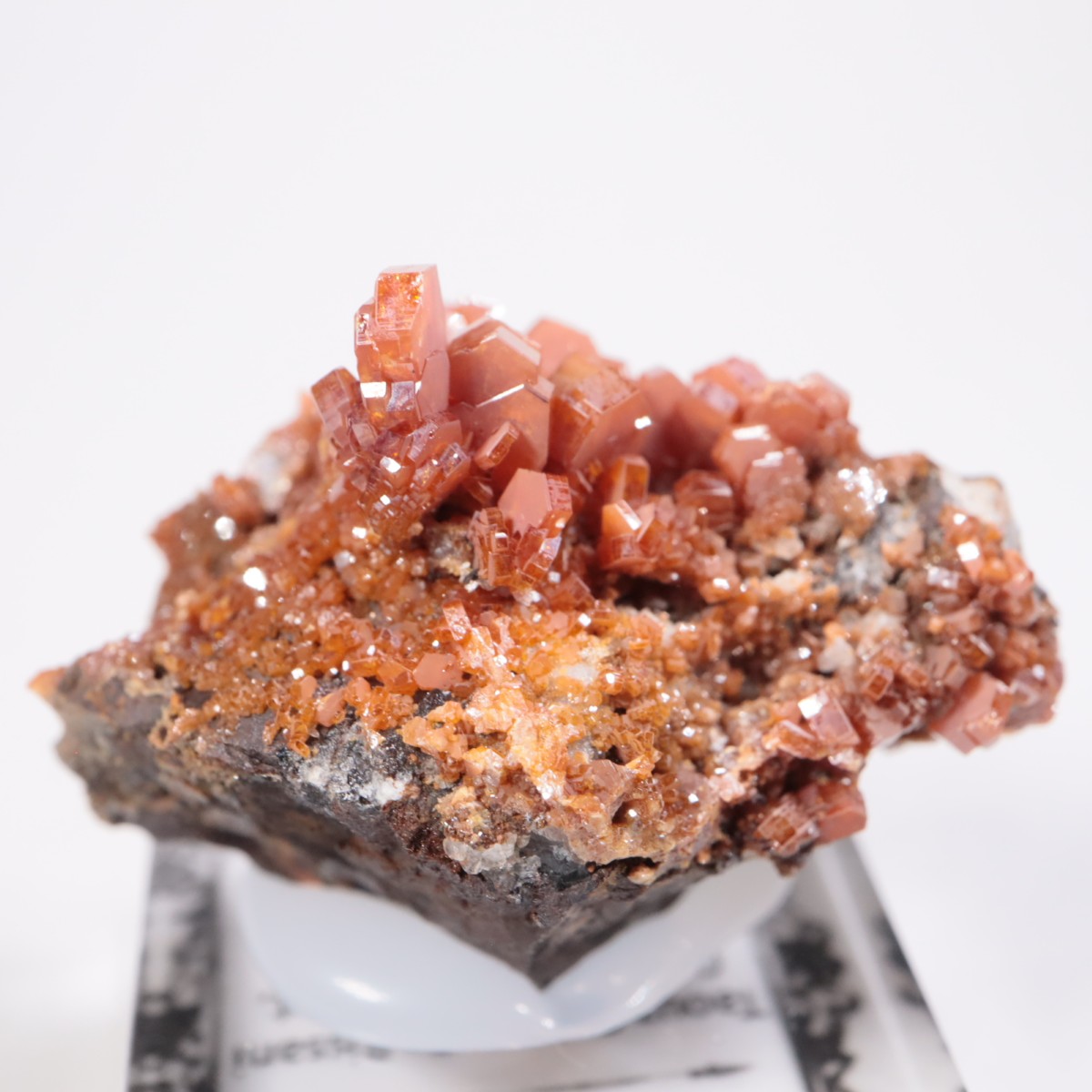 ����å��� �Хʥǥ��ʥ���