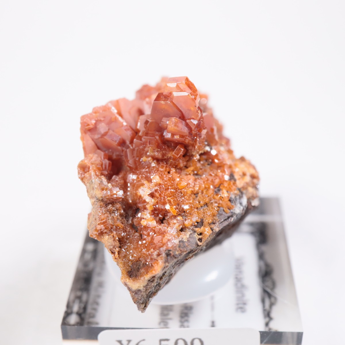 ����å��� �Хʥǥ��ʥ���