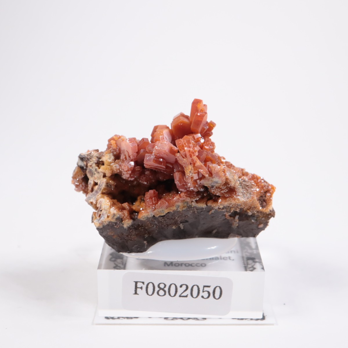 ����å��� �Хʥǥ��ʥ���