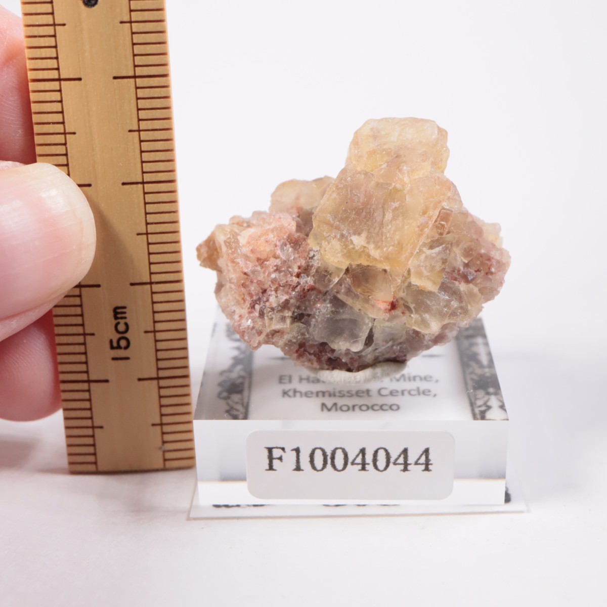 ����ϥޥ�ۻ��� �ե����饤��