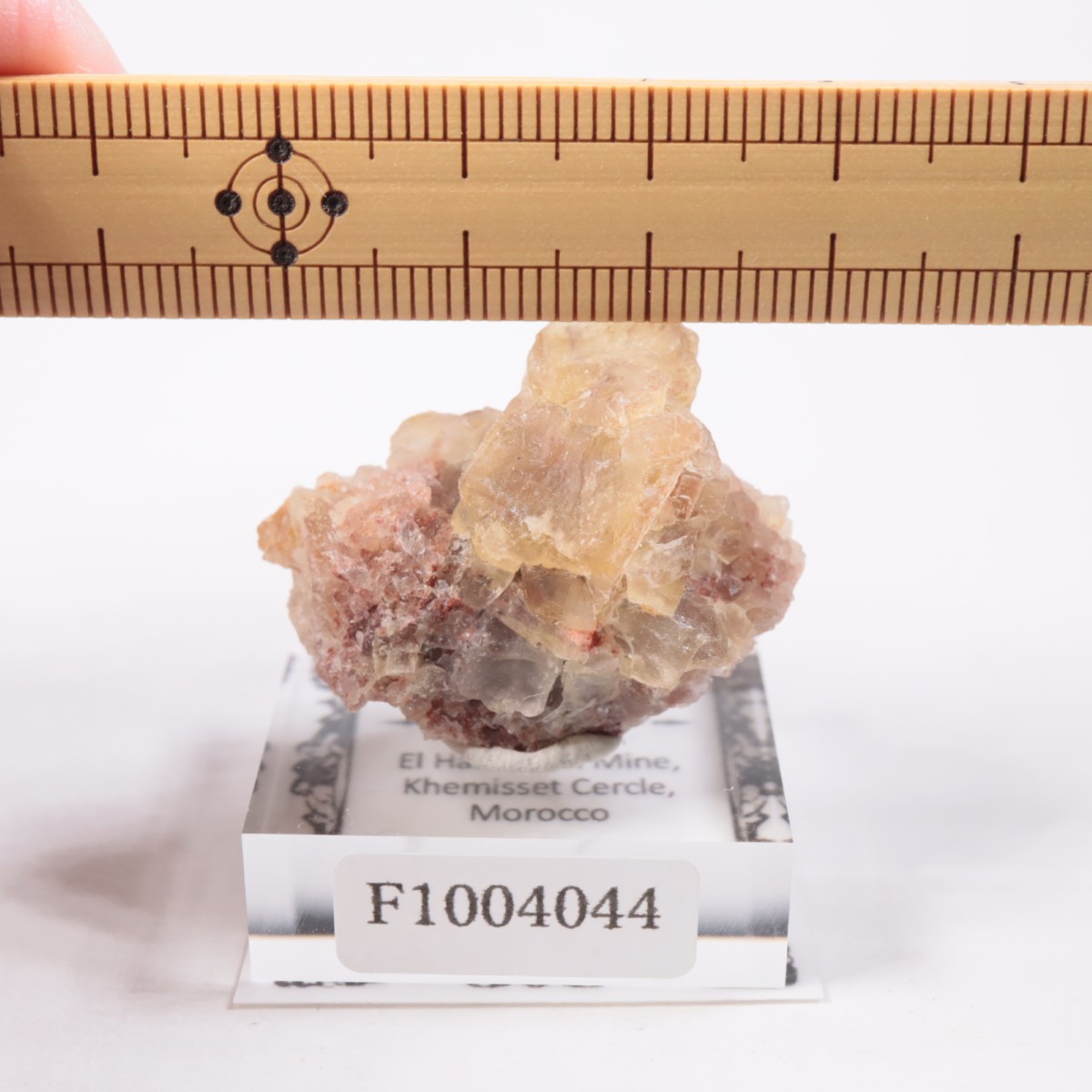 ����ϥޥ�ۻ��� �ե����饤��