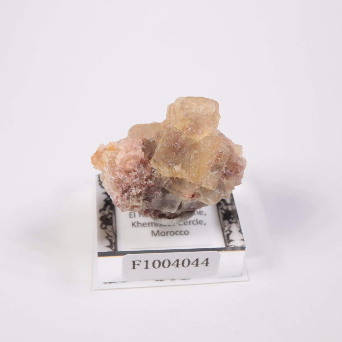 ����ϥޥ�ۻ��� �ե����饤��