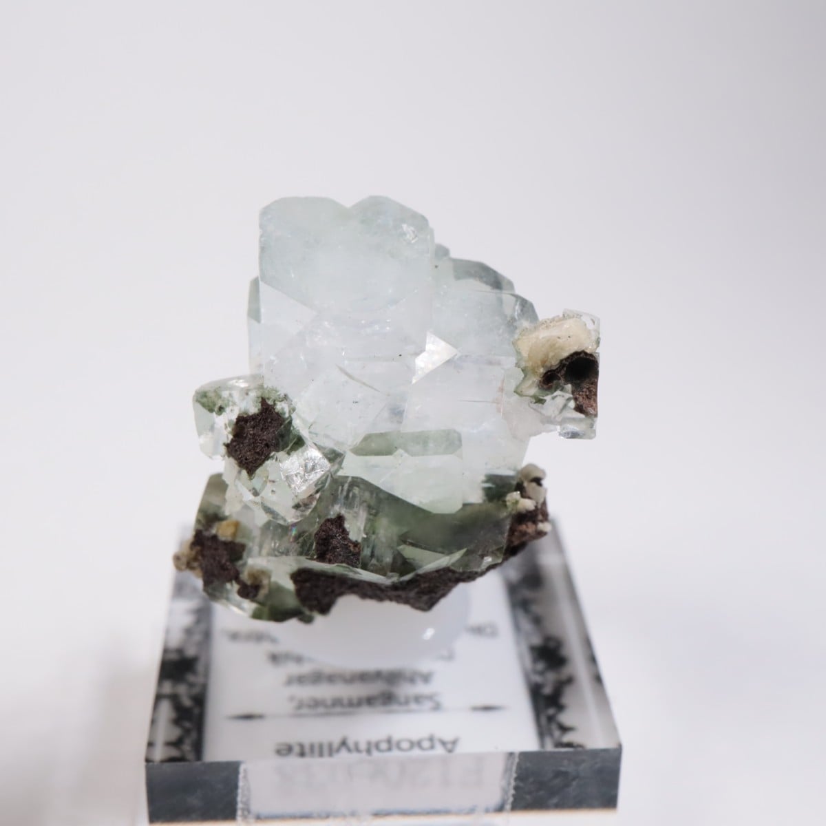 ����ɻ� ���ݥե��饤��