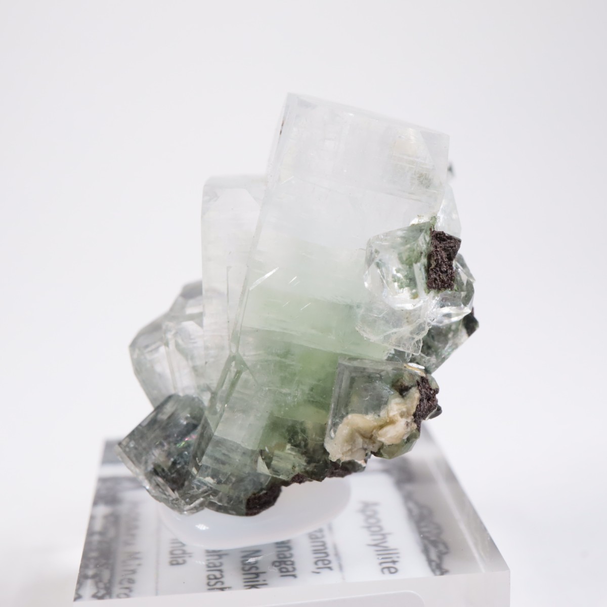 ����ɻ� ���ݥե��饤��