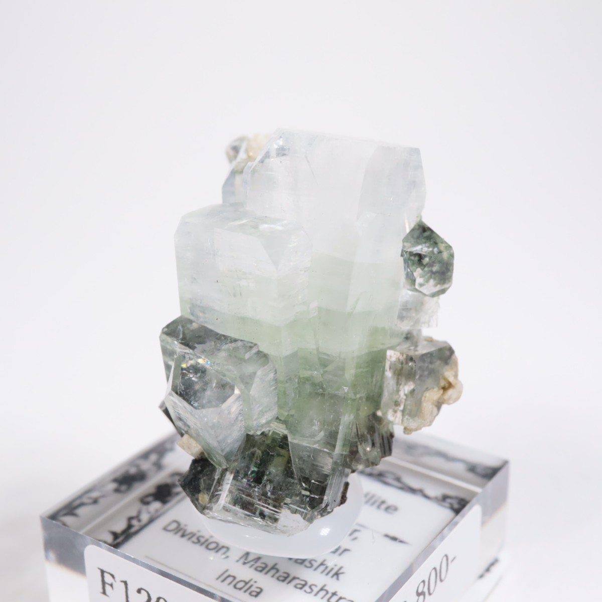 ����ɻ� ���ݥե��饤��