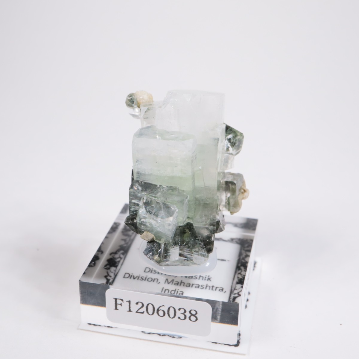 ����ɻ� ���ݥե��饤��