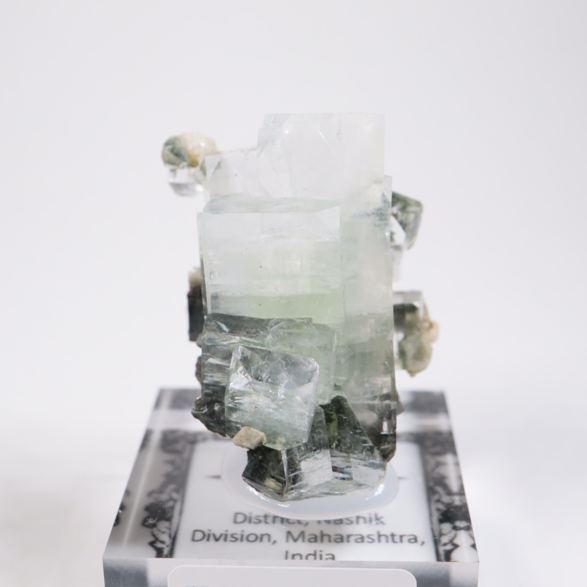 ����ɻ� ���ݥե��饤��