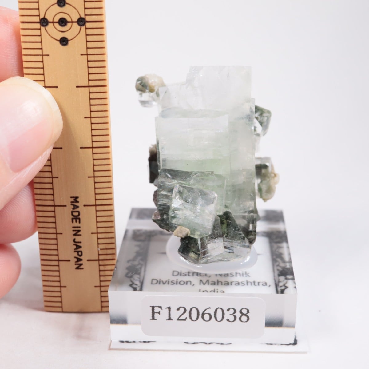 ����ɻ� ���ݥե��饤��