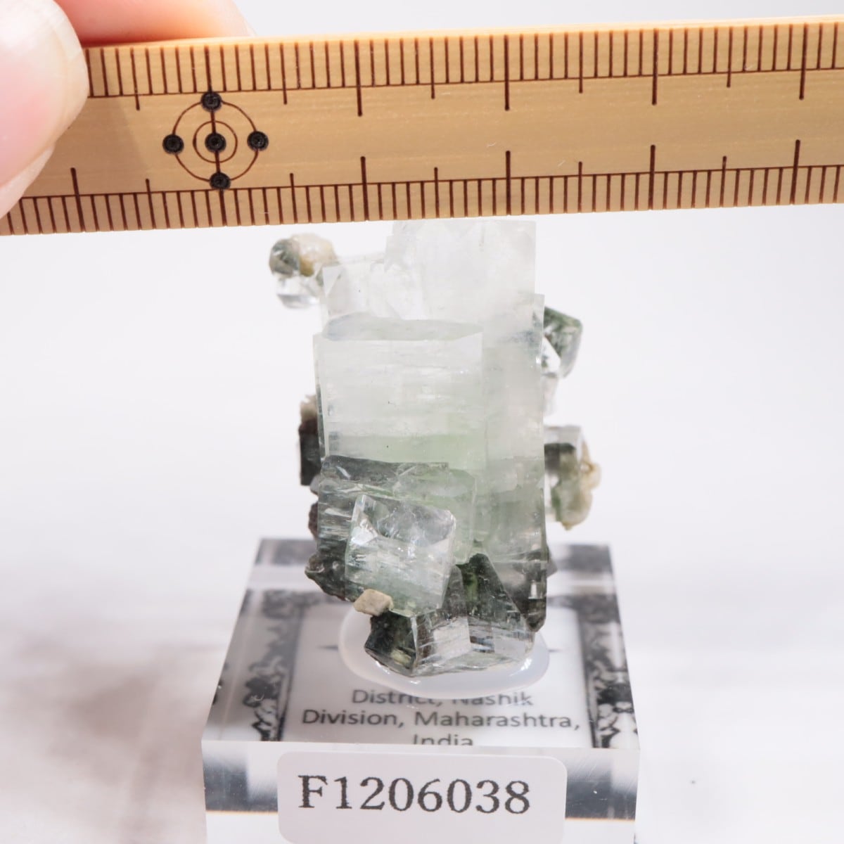 ����ɻ� ���ݥե��饤��