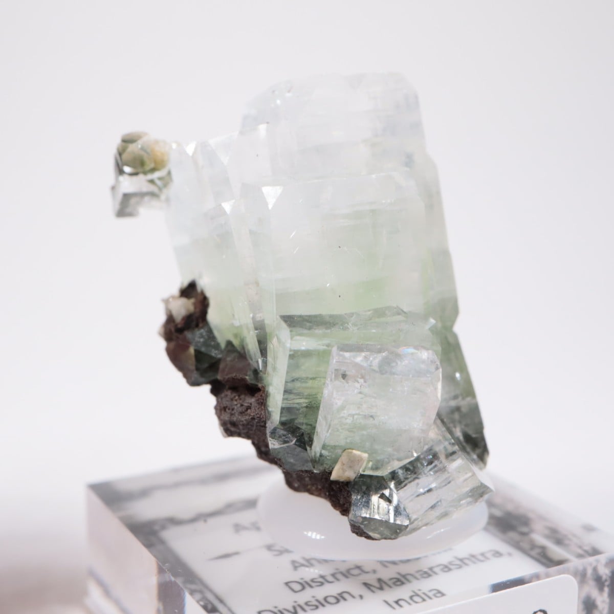 ����ɻ� ���ݥե��饤��