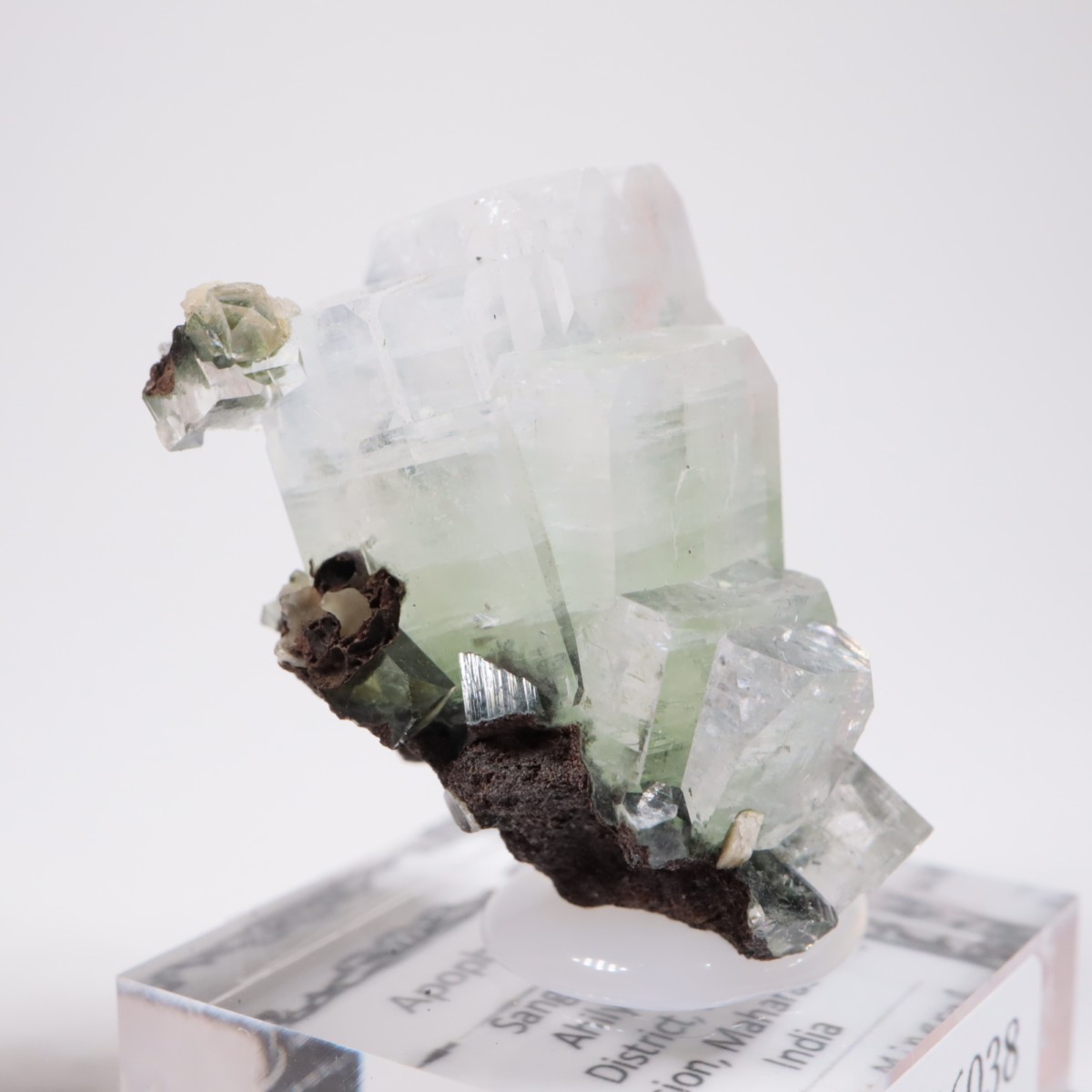 ����ɻ� ���ݥե��饤��