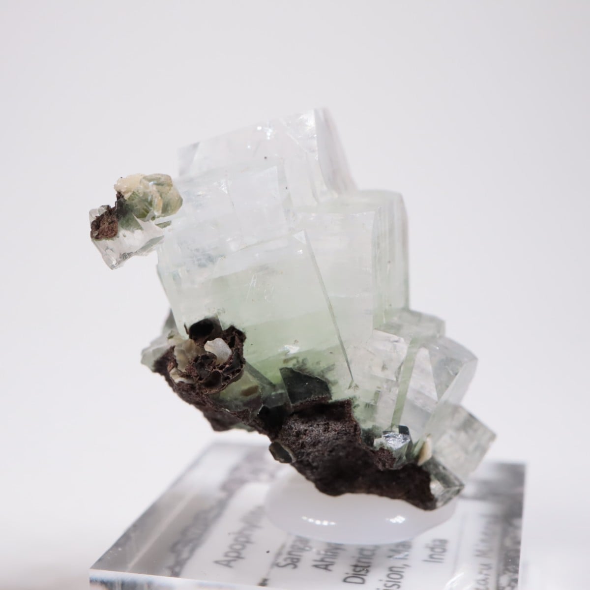 ����ɻ� ���ݥե��饤��