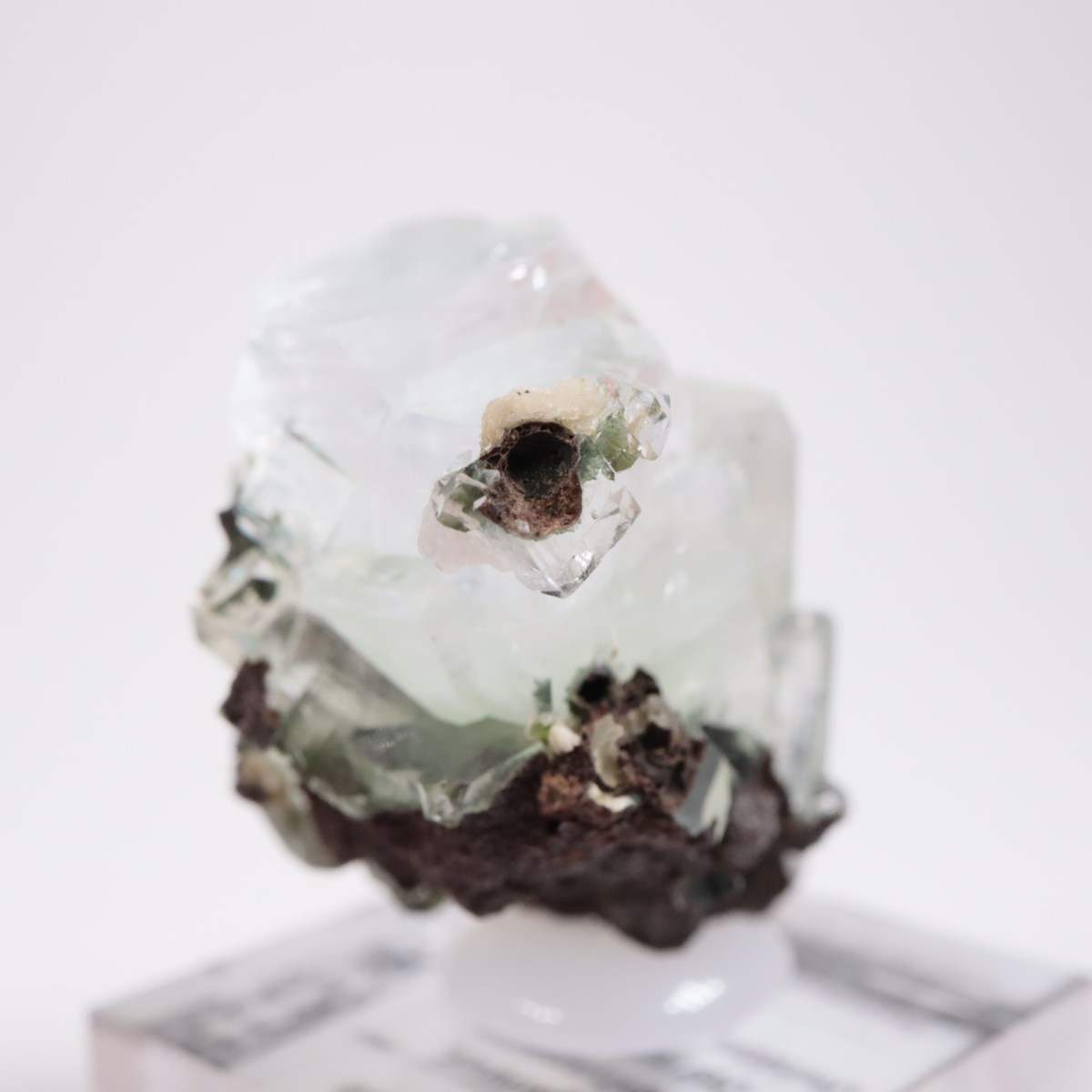 ����ɻ� ���ݥե��饤��