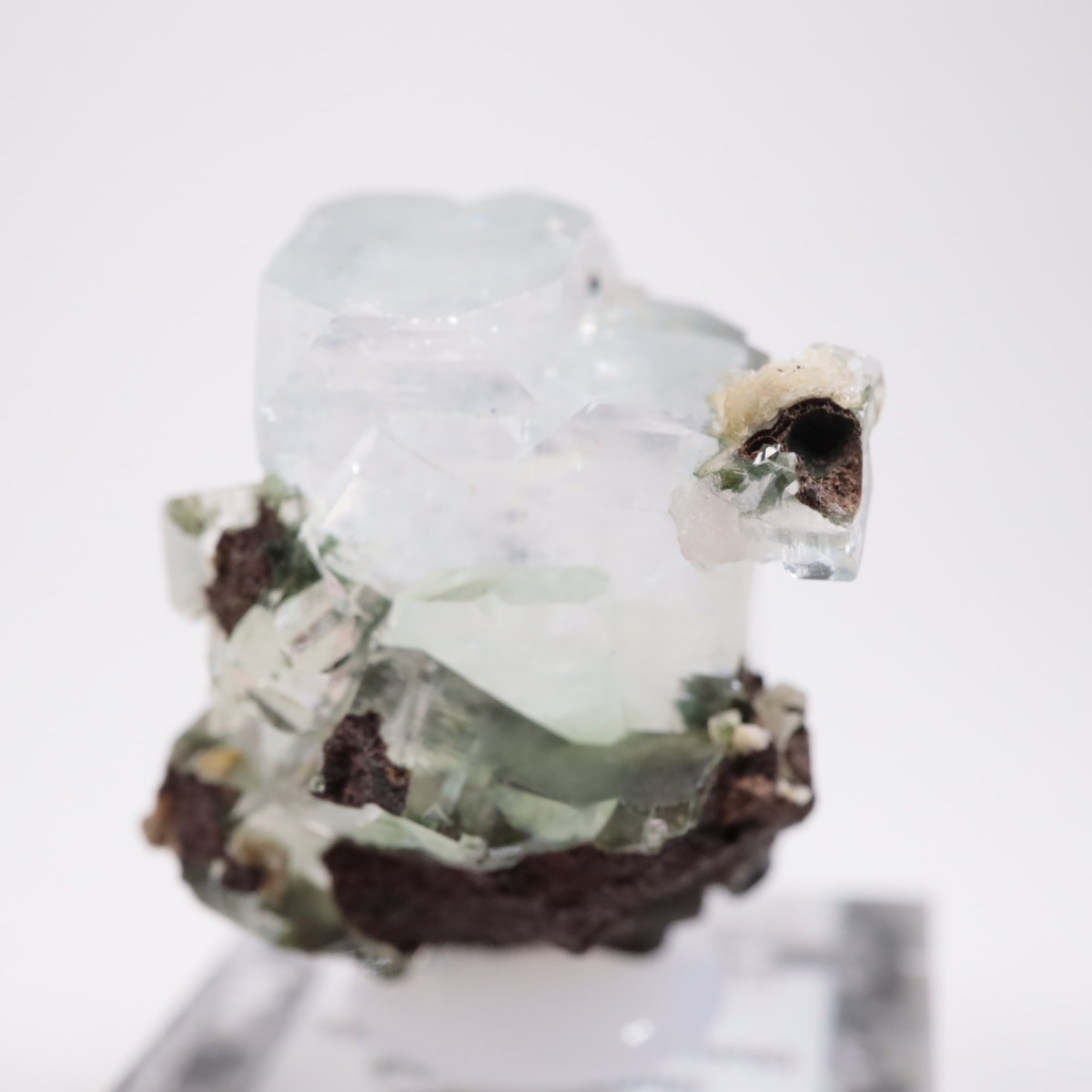 ����ɻ� ���ݥե��饤��