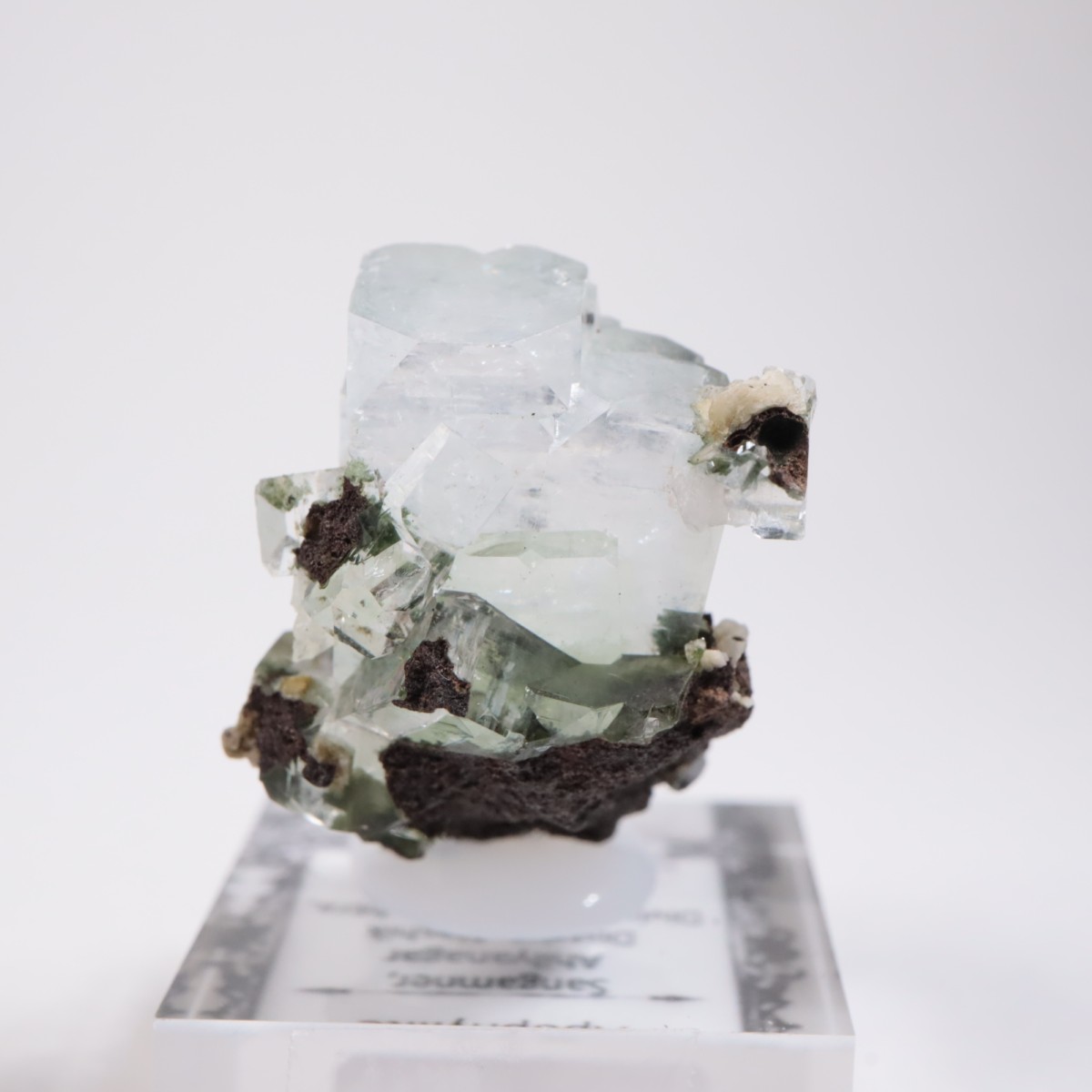 ����ɻ� ���ݥե��饤��