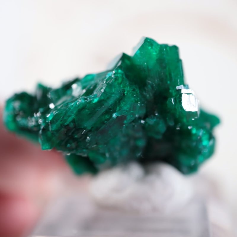 【53g】コンゴ産 ダイオプテーズ（翠銅鉱）鉱物標本 53g】コンゴ産 ダイオプテーズ（翠銅鉱）鉱物標本 コンゴ産