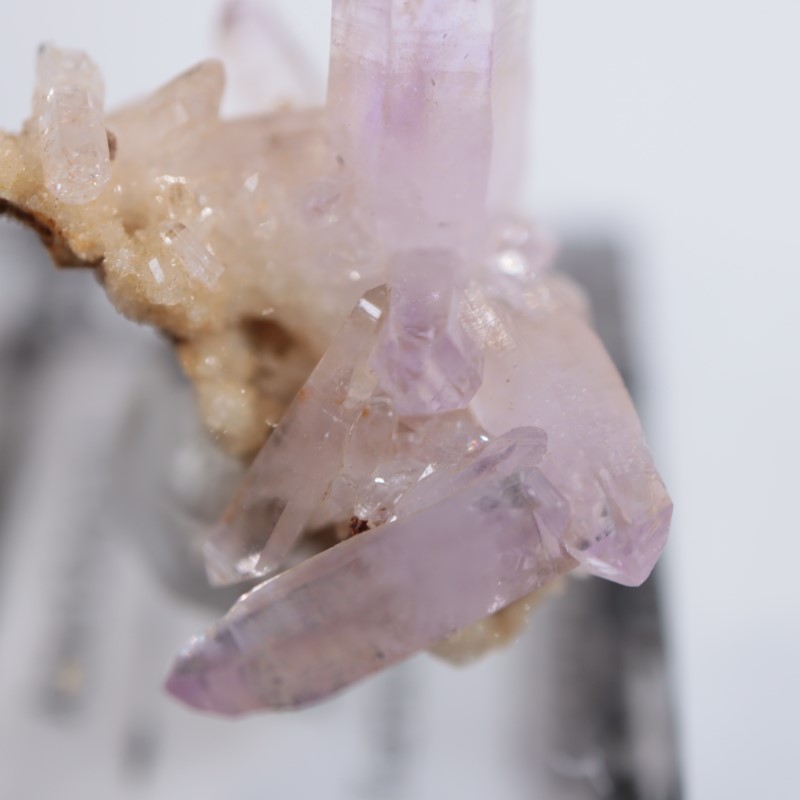 �٥饯�륹�������᥷����