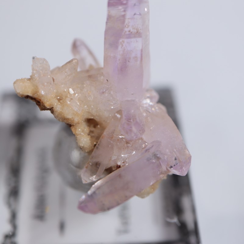 �٥饯�륹�������᥷����