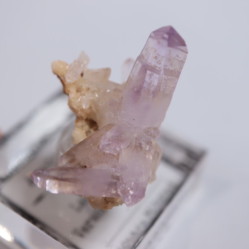 �٥饯�륹�������᥷����